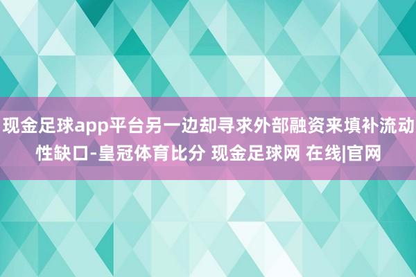 现金足球app平台另一边却寻求外部融资来填补流动性缺口-皇冠体育比分 现金足球网 在线|官网